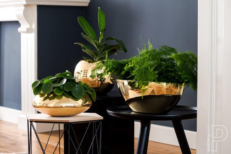 Goldene Pflanzgefäße der Pottery Pots Platinum Kollektion mit grünen Pflanzen, Glam Interior