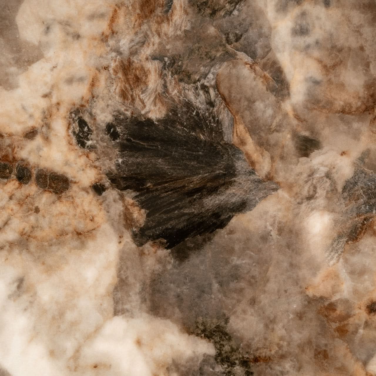 Richmond Interiors Couchtisch Langford | Braun