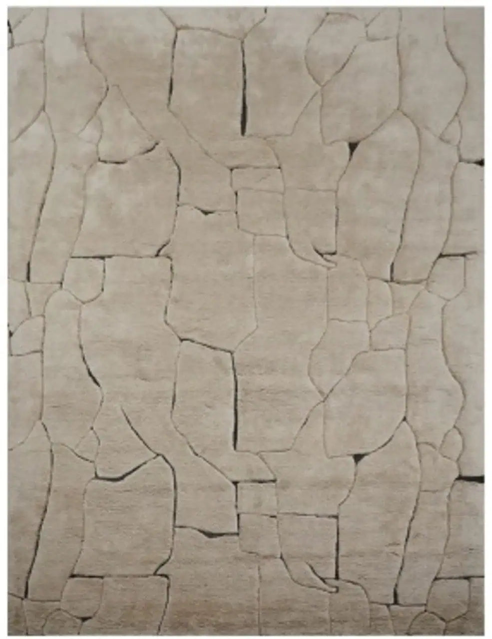 Richmond Interiors Teppich Bhawan Braun | 200x300 cm