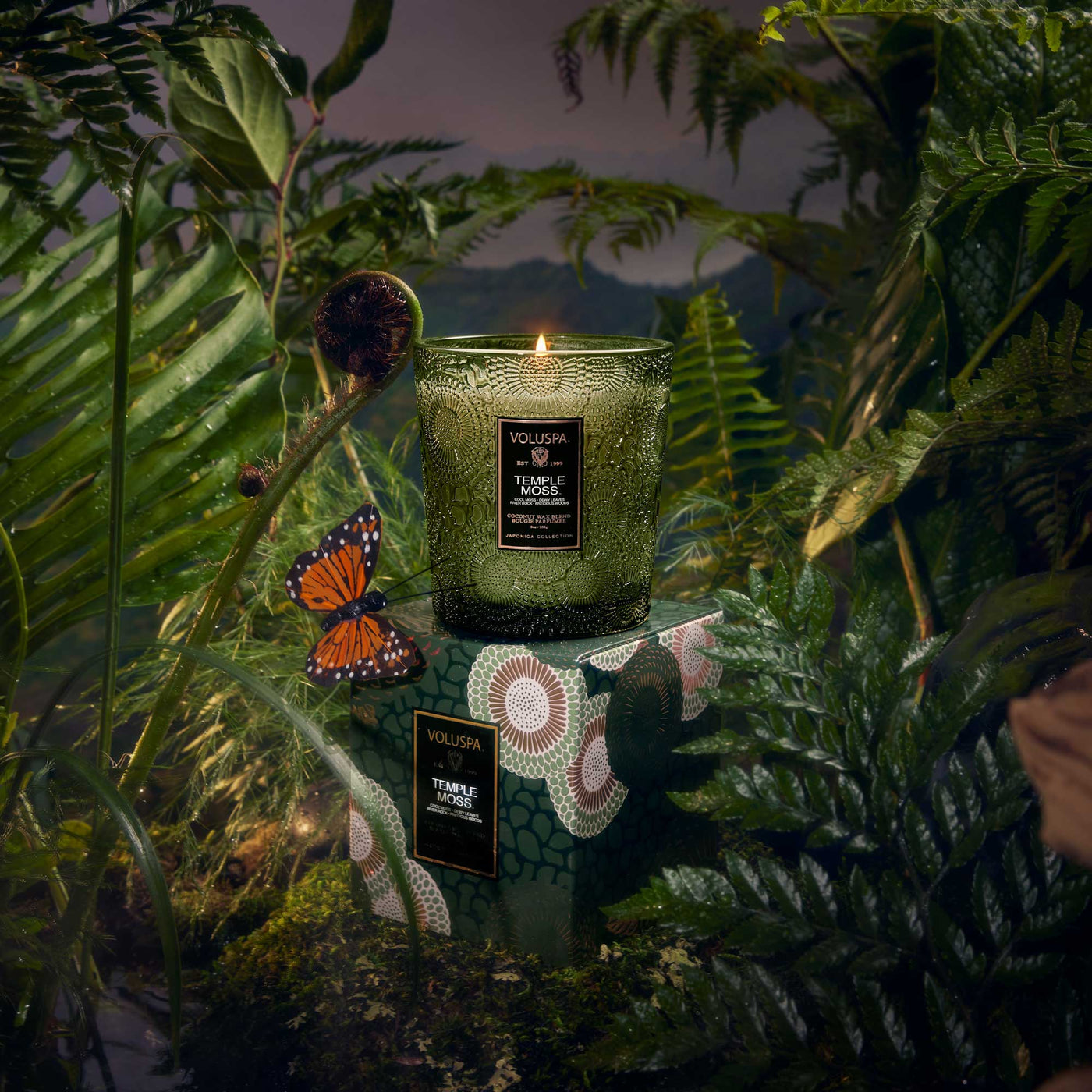 Voluspa Duftkerze Temple Moss | Classic Candle
