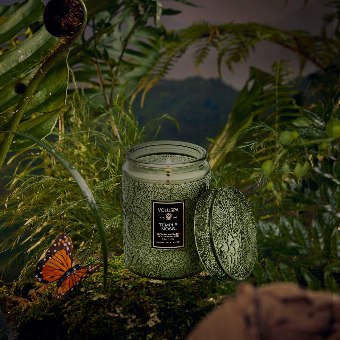Voluspa Duftkerze Temple Moss | Small Jar