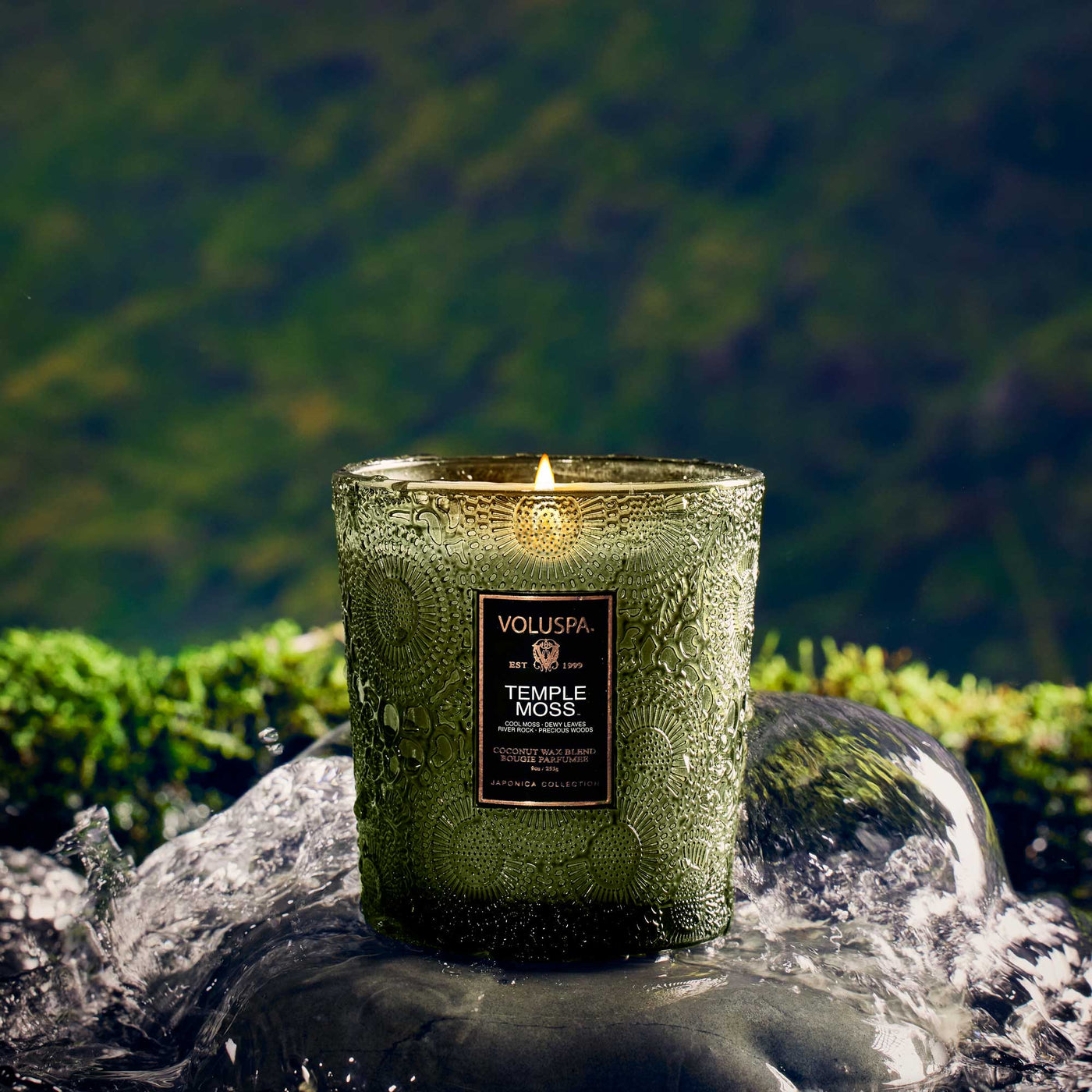 Voluspa Duftkerze Temple Moss | Classic Candle