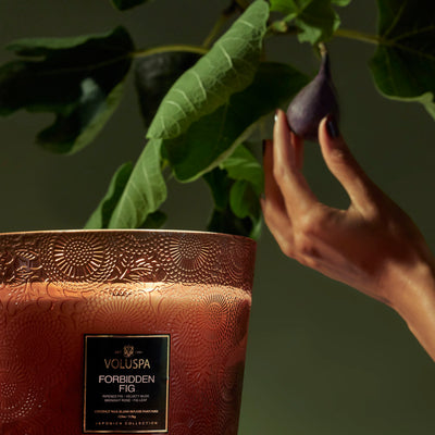 Voluspa 5-Docht Duftkerze Forbidden Fig | Japonica Collection | 3,5 kg