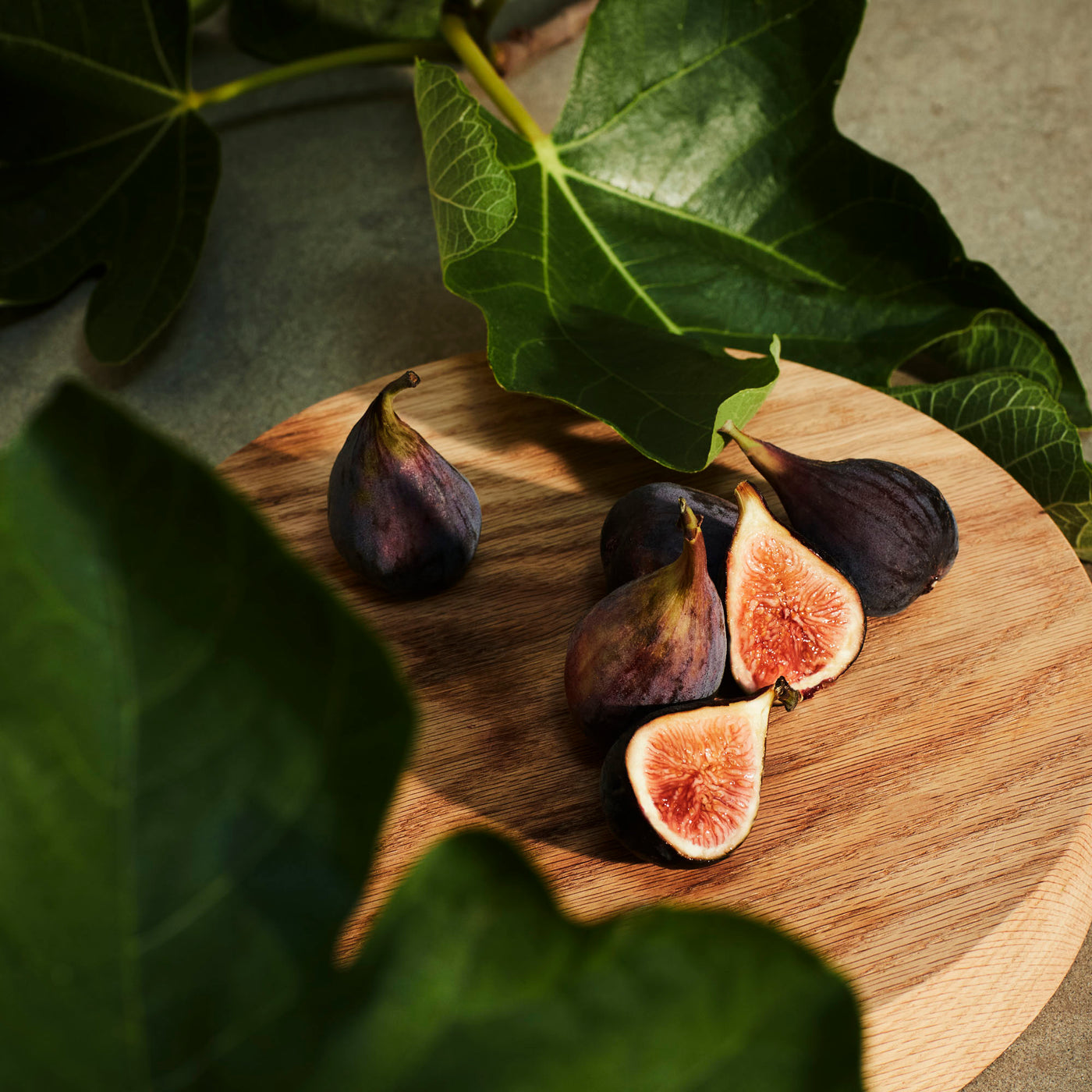 Voluspa 5-Docht Duftkerze Forbidden Fig | Japonica Collection | 3,5 kg