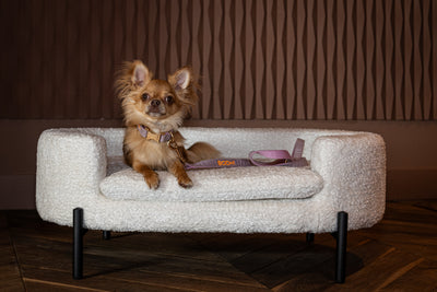 Richmond InteriorsDog Baskets Dolly | Sheep 02 white