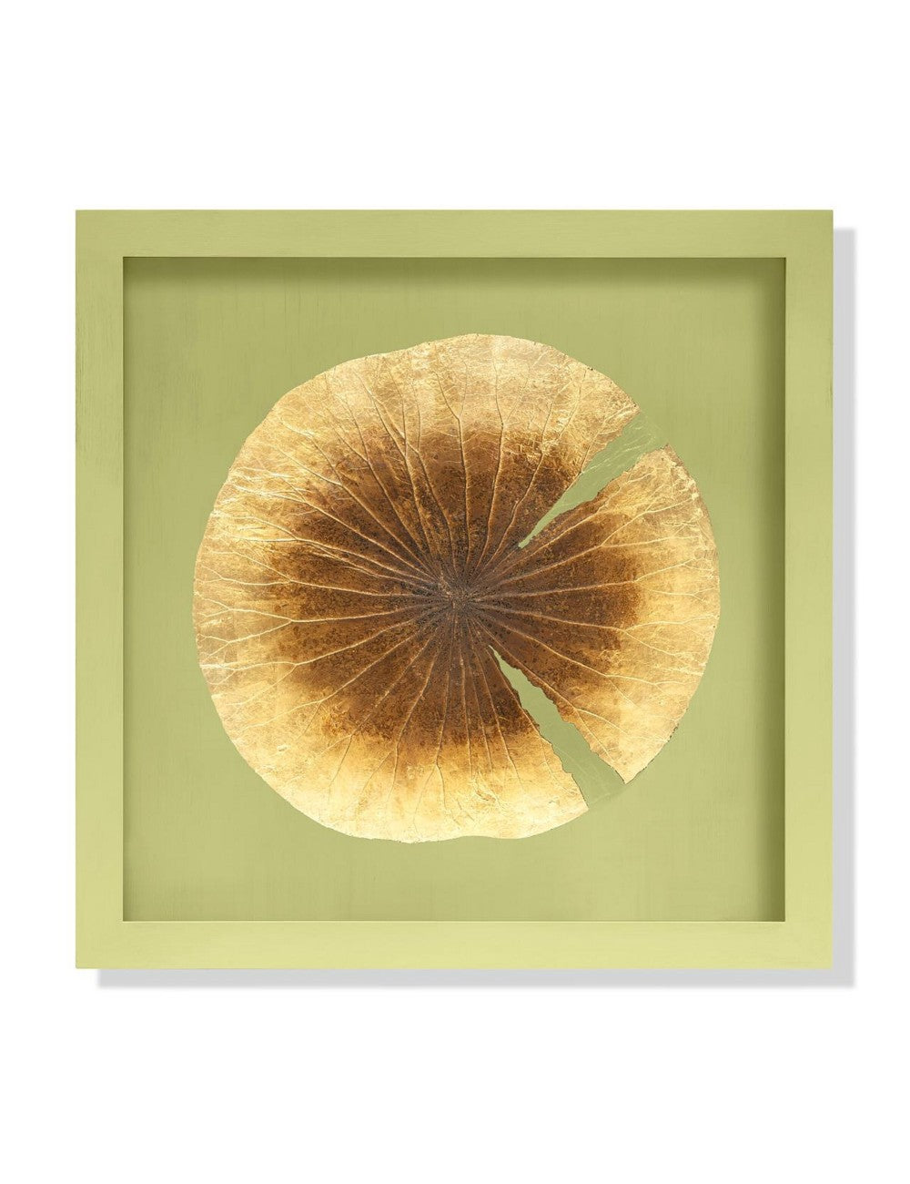 Abhika Wandbild "Lotus Leaf" mit echtem Lotusblatt & Blattgold