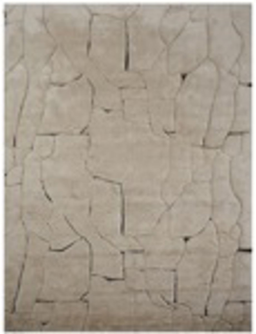 Richmond Interiors Teppich Bhawan Braun | 200x300 cm