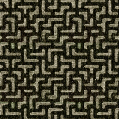 Labyrinth Moss