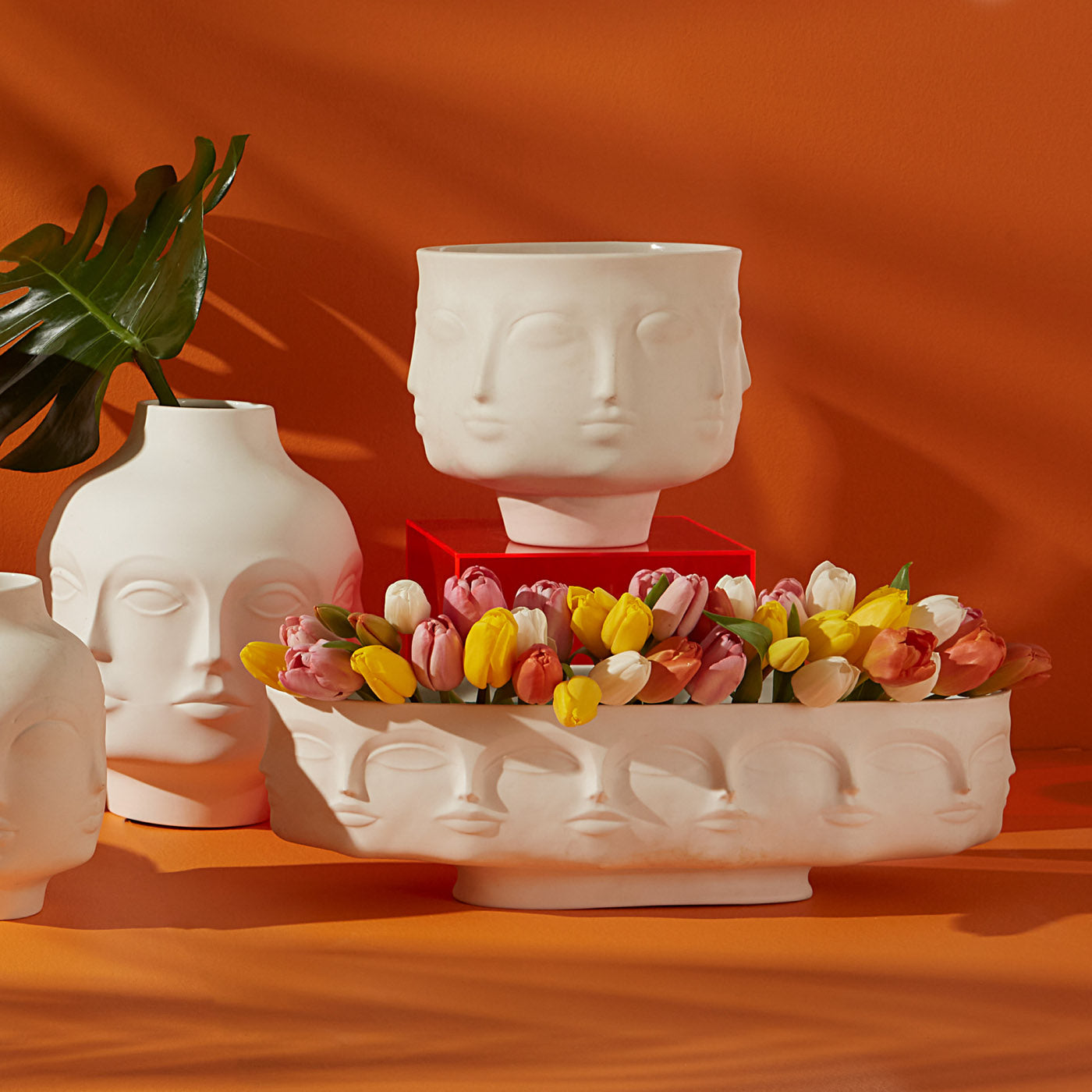Jonathan Adler Schale Dora Maar Long Bowl | Mattweiß