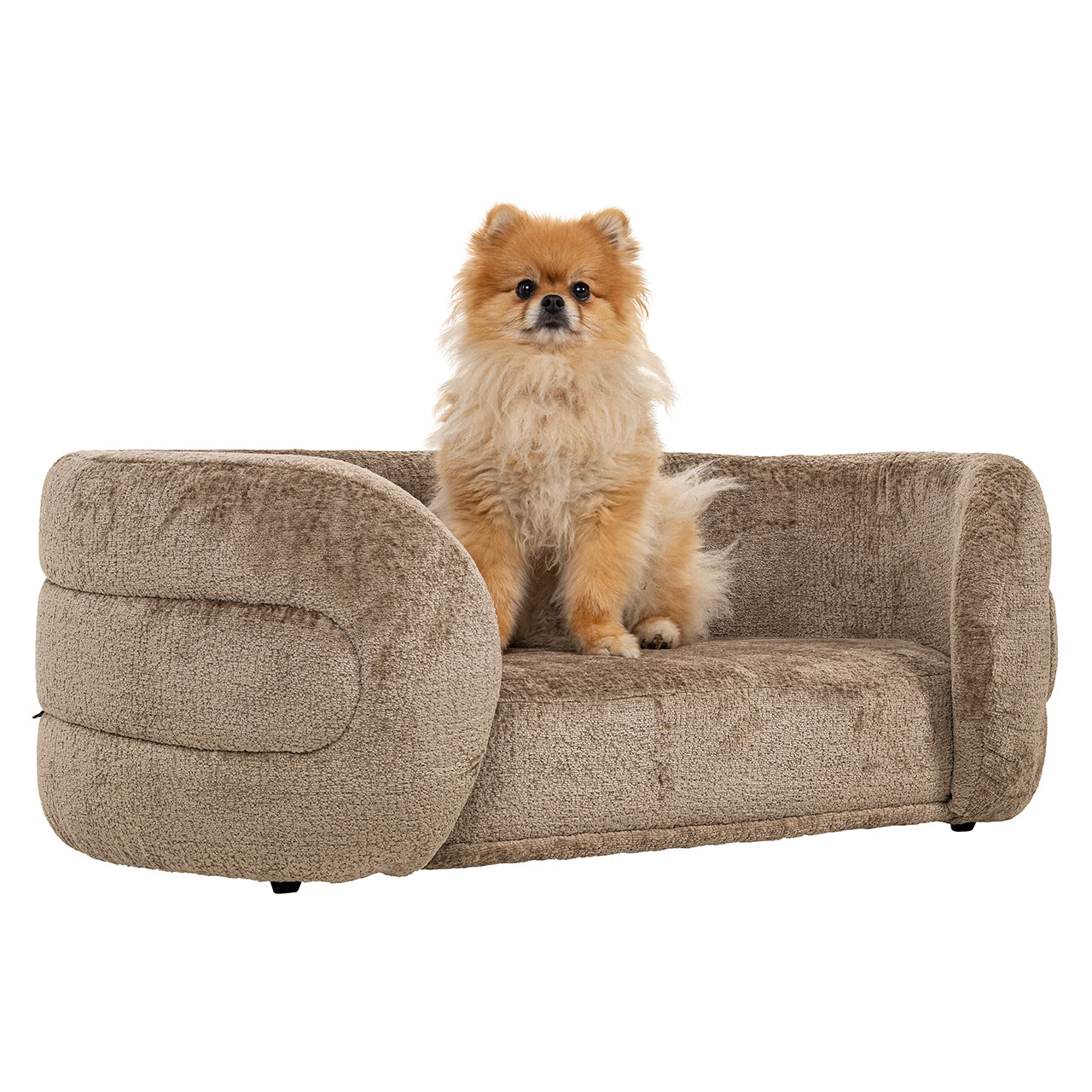 Richmond Interiors Hundekörbchen Bingo | Taupe