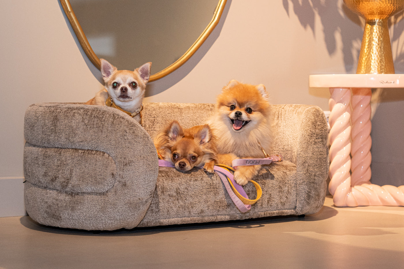 Richmond Interiors Hundekörbchen Bingo | Taupe
