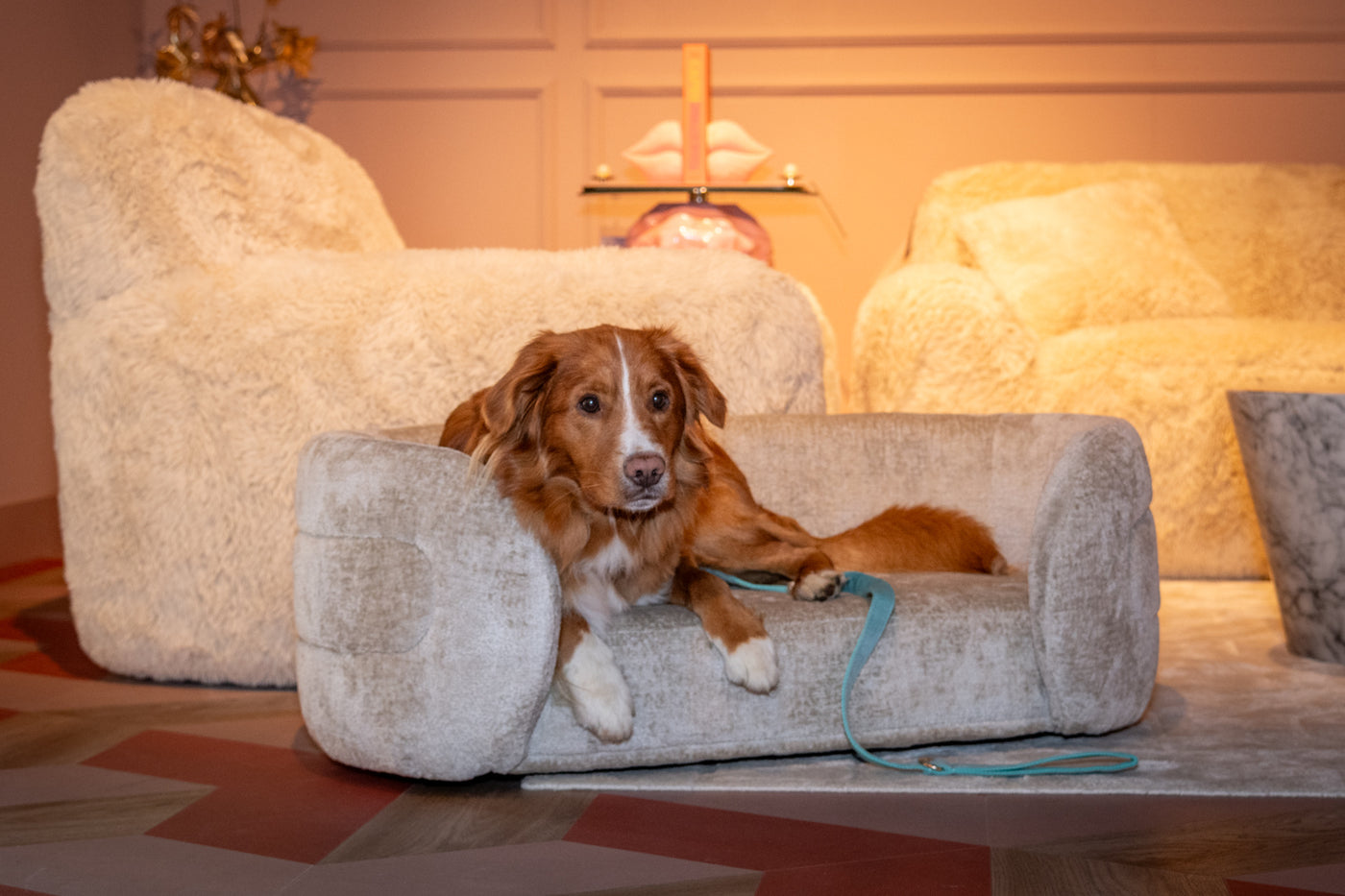 Richmond Interiors Hundekörbchen Bingo | Weiß