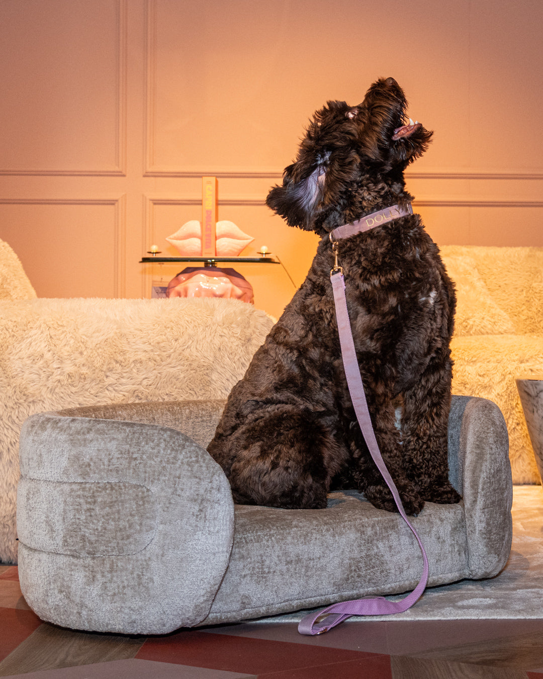 Richmond Interiors Hundekörbchen Bingo | Weiß