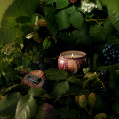 Voluspa Duftkerze Foraged Wildberry | Mini Tin