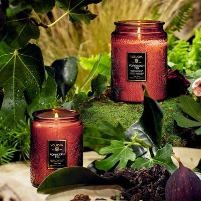 Voluspa Duftkerze Forbidden Fig | Japonica Collection | Large Jar