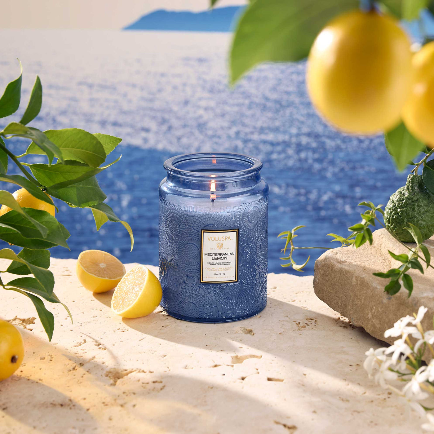 Voluspa Duftkerze Mediterranean Lemon | Large Jar