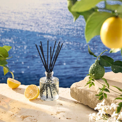 Voluspa Raumduft Mediterranean Lemon | Diffuser mit Duftstäbchen