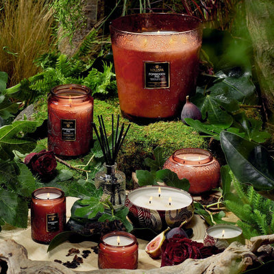 Voluspa - Duftkerze Forbidden Fig | Japonica Collection | Classic Candle - Codeso Living