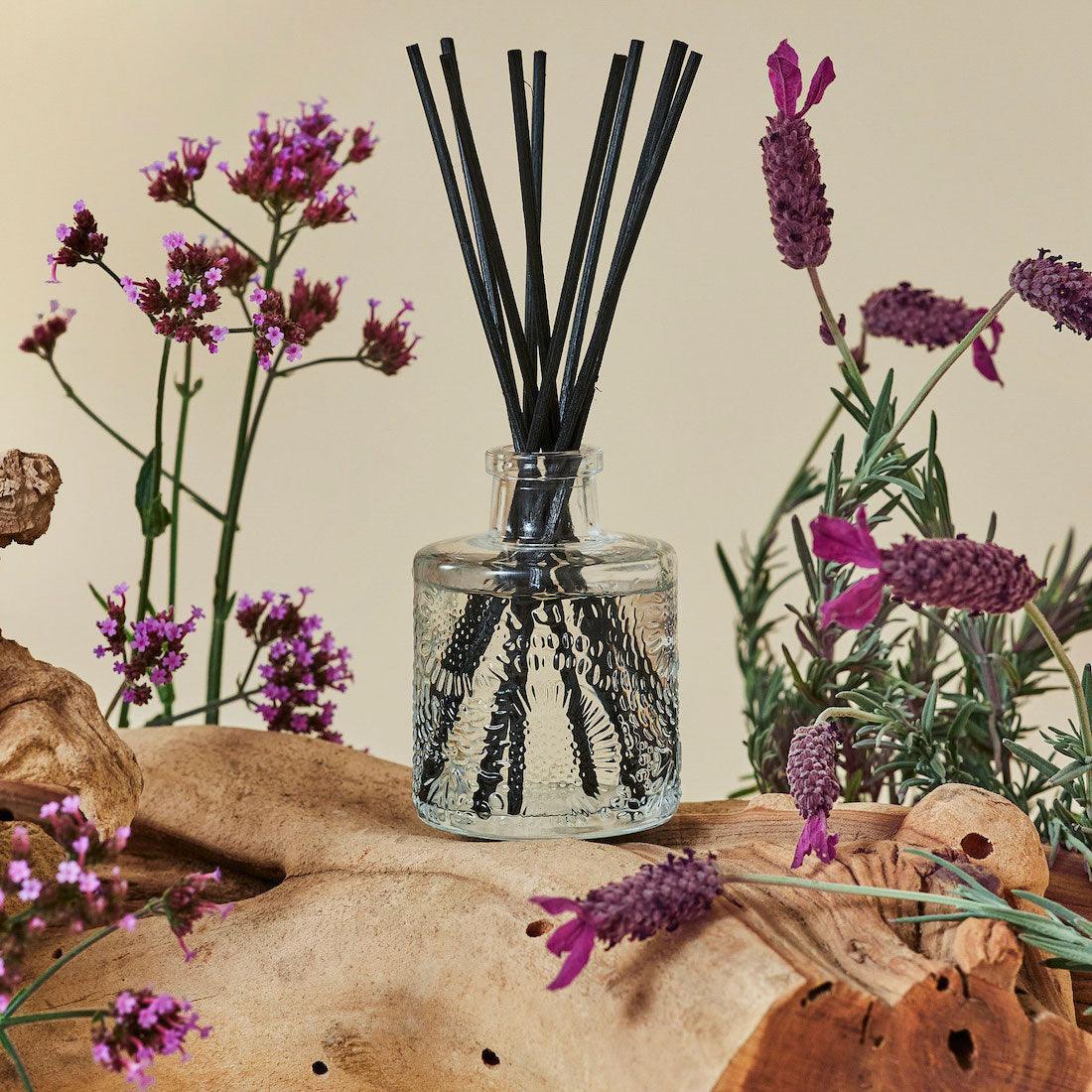 Voluspa - Raumduft French Cade Lavender | Japonica Collection | Diffuser mit Duftstäbchen - Codeso Living